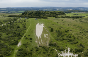 Giant New Zealand Kiwi Monument shines After Chopper Chalk Drop