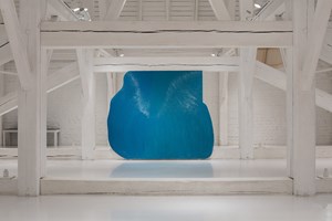 Amanda Ziemele will represent Latvia at the 60th International Art Exhibition – La Biennale di Venezia