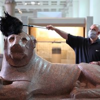 London's Natural History Museum Dusting off before Reopening