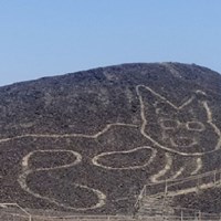 Nazca Lines: New Giant Geoglyph of Feline Discovered in Peru