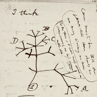 Darwin's Missing Notebooks at the University of Cambridge