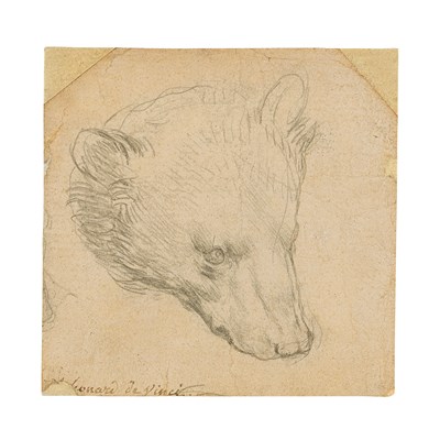 Leonardo Da Vinci’s ‘Head of a Bear’ to be Offered at Christie’s London in July