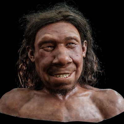 Face to Face with Krijn: The First Dutch Neanderthal Now Has A  Face
