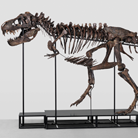 The First Tyrannosaurus Rex Skeleton to be Offered at "Out of the World II" Auction in Zurich, Switzerland