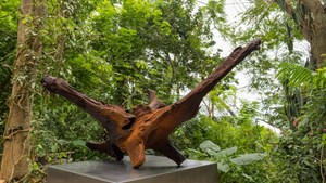 Ai Weiwei's Iron Root Sculpture Finds New Home in Eden’s Rainforest Biome