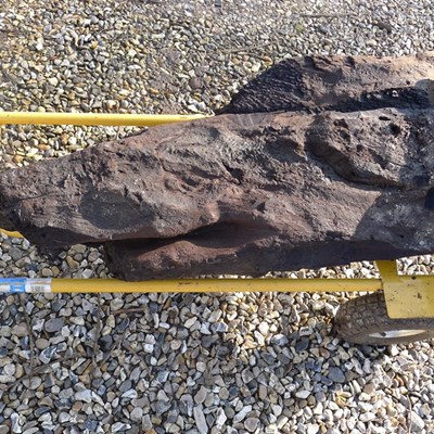 Oldest Decoratively Carved Wood in Britain Found During Building Project
