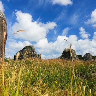 7,000-Year-Old Menhirs in France Destroyed for the Construction of a DIY Store