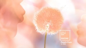 Pantone's Color of The Year is 'Peach Fuzz'