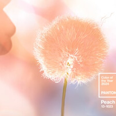 Pantone's Color of The Year is 'Peach Fuzz'