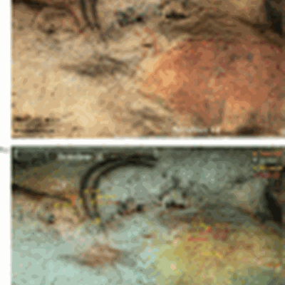 First Discovery of Charcoal-Based Prehistoric Cave Art in Dordogne