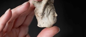Rare Roman Head of Mercury discovered at Smallhythe Place goes on Display