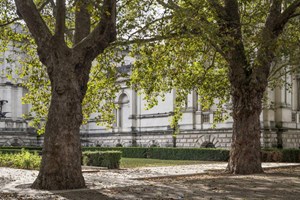 Tom Stuart-Smith to create a New Garden for Tate Britain
