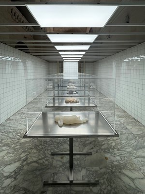 Exploring Fragility and Ethical Frontiers: Sofie Muller's 'The Clean Room' at Malta Biennale