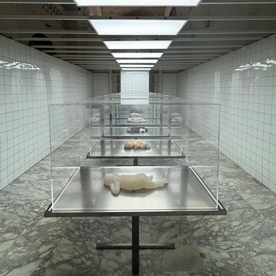 Exploring Fragility and Ethical Frontiers: Sofie Muller's 'The Clean Room' at Malta Biennale