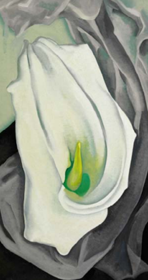 An Iconic Flower Painting by George O’Keeffe: WHITE CALLA LILY 