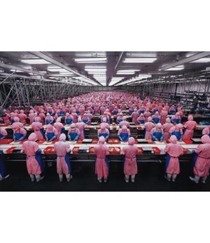 EDWARD BURTYNSKY Manufacturing #17, Deda Chicken Processing Plant, Dehui City, Jilin Province, China, 2005