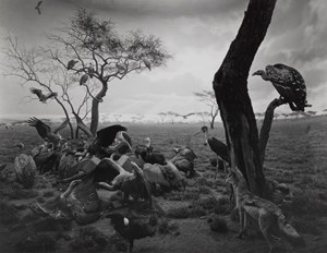  "Past and Present in three parts" by Hiroshi Sugimoto