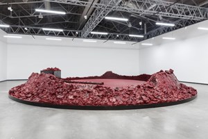 Anish Kapoor's first solo show in Russia as part of special program of the 6th Moscow Biennale