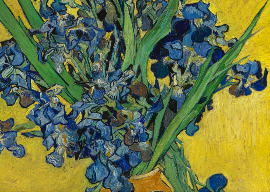 Gogh iris van Irises (painting)