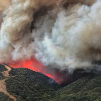 In the Line of Fire: Museums and Art Institutions in California Survive Thomas Fire