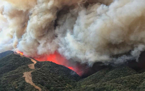 In the Line of Fire: Museums and Art Institutions in California Survive Thomas Fire