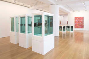 Blending Visual Candy and Natural History: Damien Hirst's Latest Exhibition