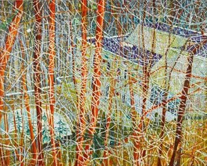 “The Architect’s Home in the Ravine” by Peter Doig