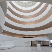 Guggenheim Establishes Conservation Fellowship with Support from Trustee Vladimir Potanin