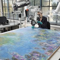 Gemeentemuseum Discovers Water Lilies under Monet's Wisteria