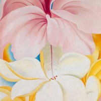 The Symbolism of Flowers in the Art of Georgia O’Keeffe