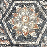 Beautiful Mosaic Dated To Graeco-Roman Times Discovered In Alexandria, Egypt